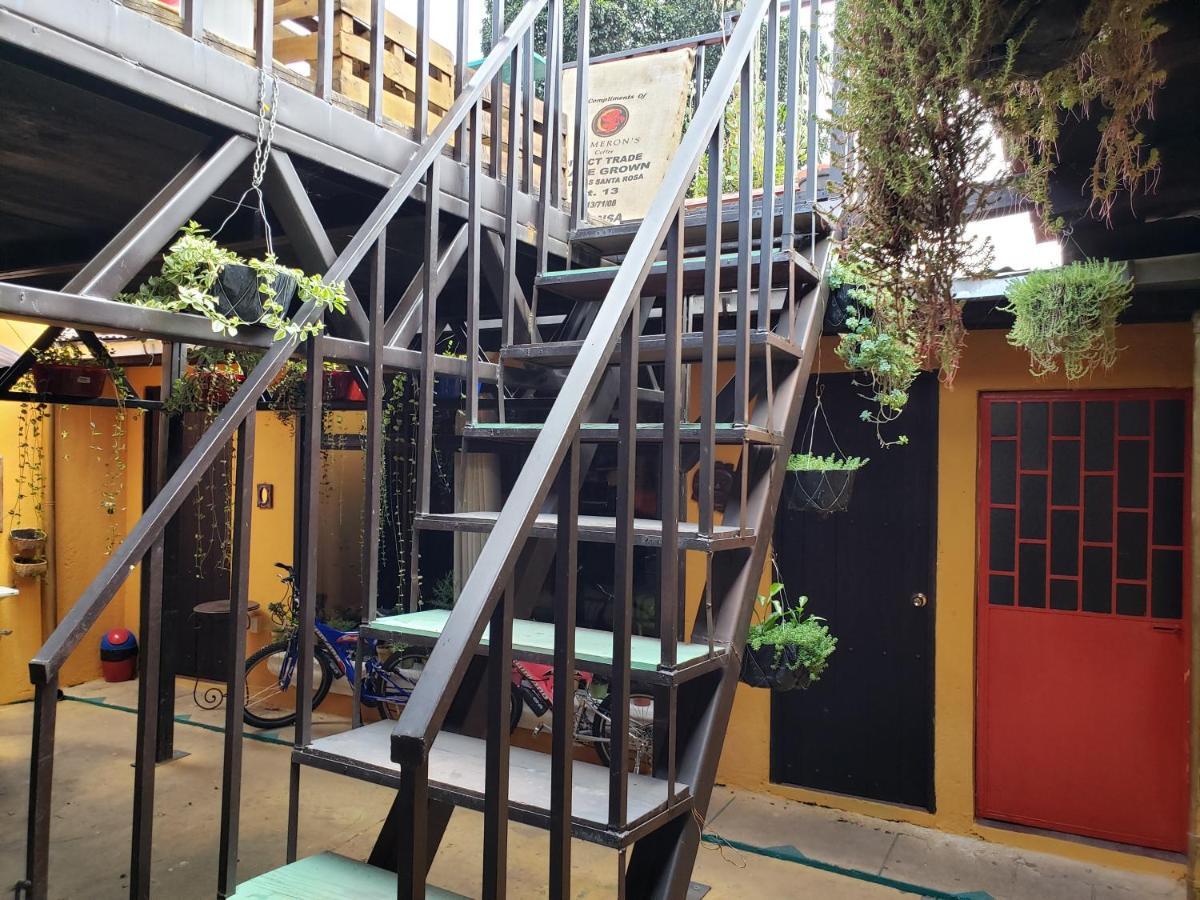 Parrot House Bed & Breakfast Antigua ภายนอก รูปภาพ