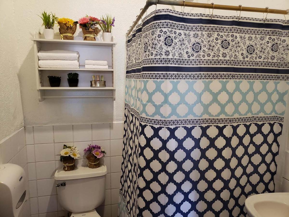Parrot House Bed & Breakfast Antigua ภายนอก รูปภาพ