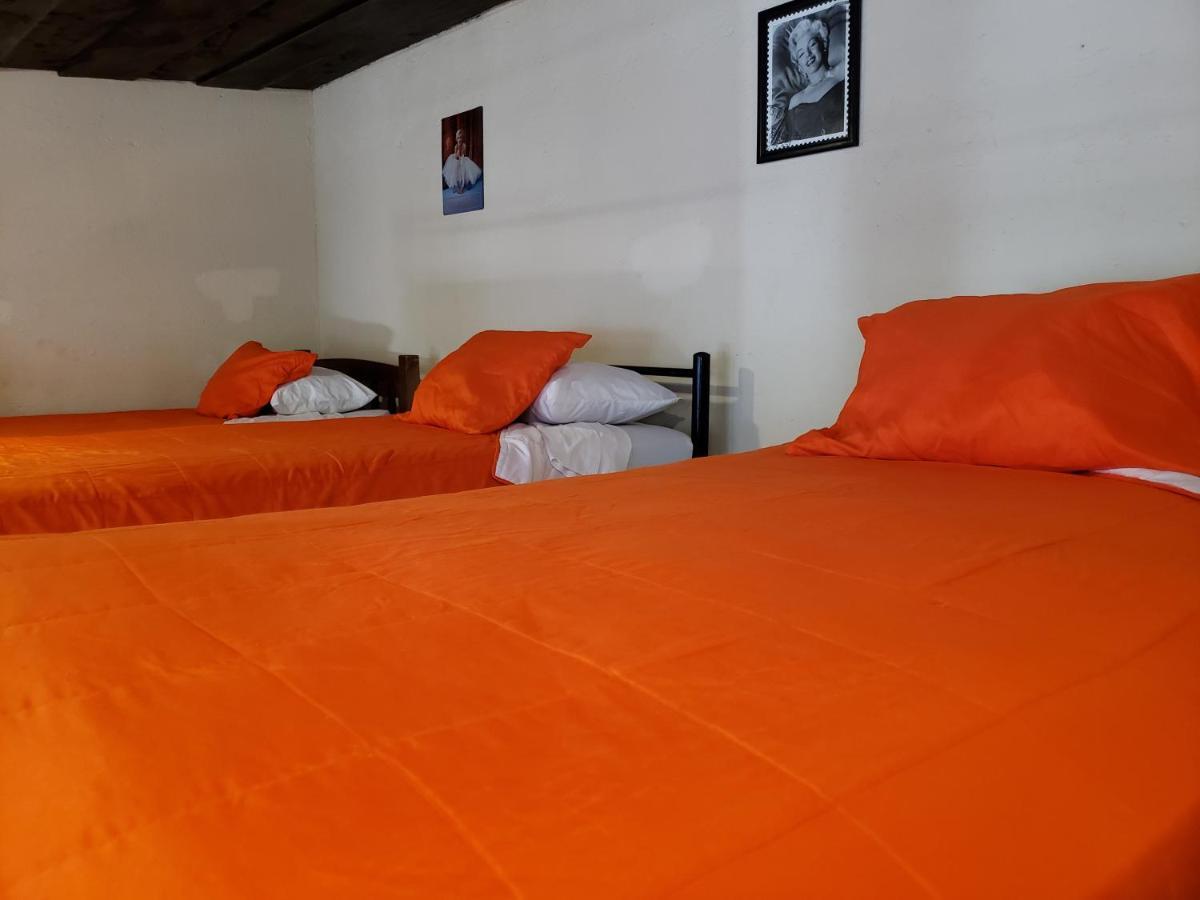 Parrot House Bed & Breakfast Antigua ภายนอก รูปภาพ