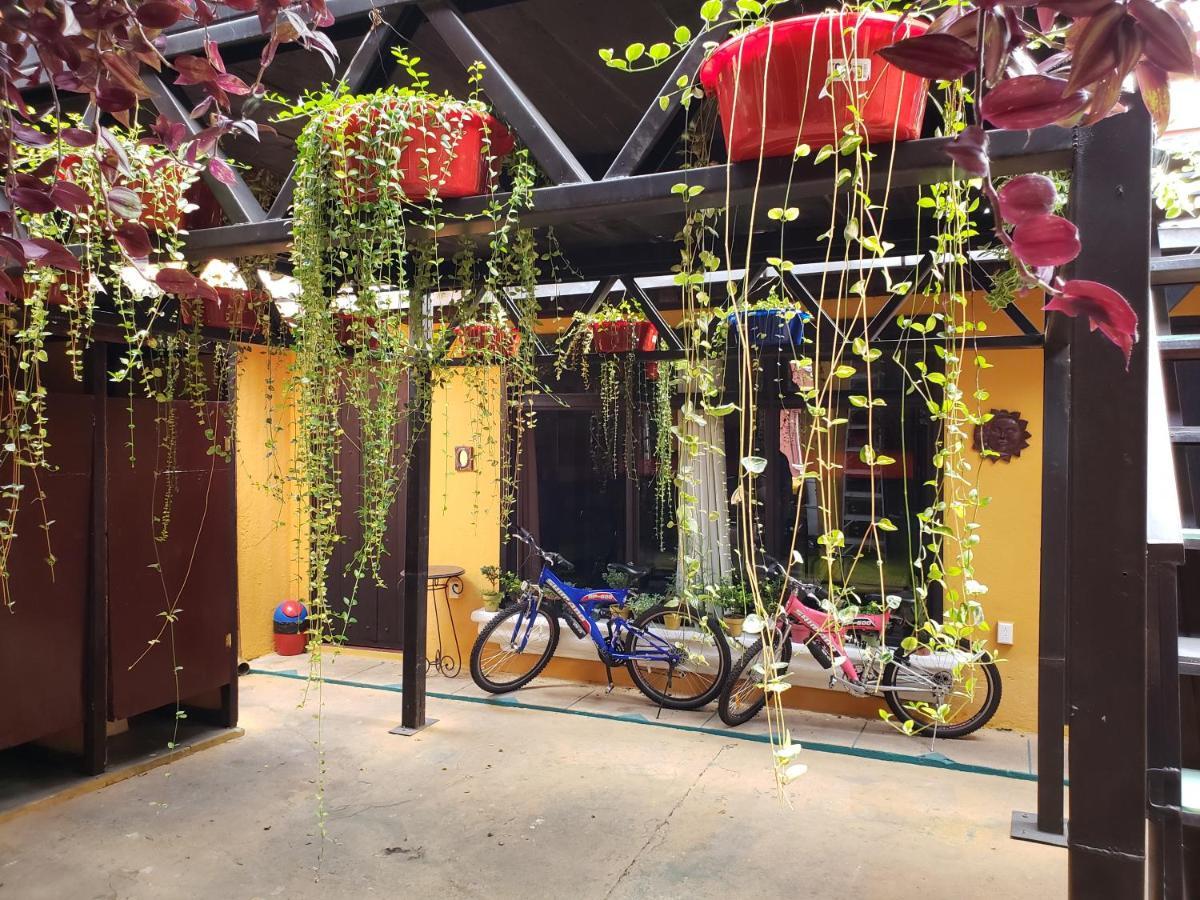 Parrot House Bed & Breakfast Antigua ภายนอก รูปภาพ