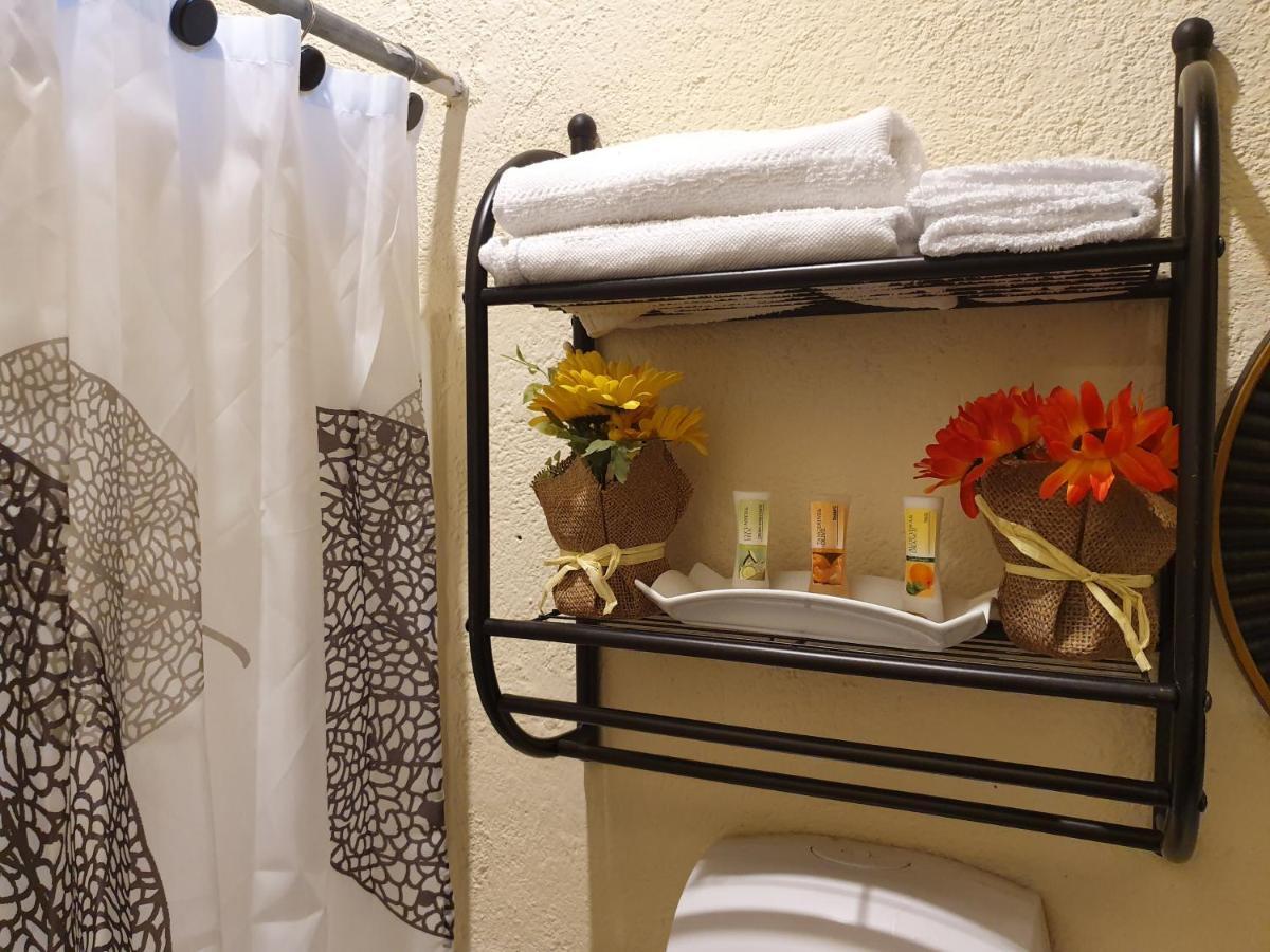 Parrot House Bed & Breakfast Antigua ภายนอก รูปภาพ