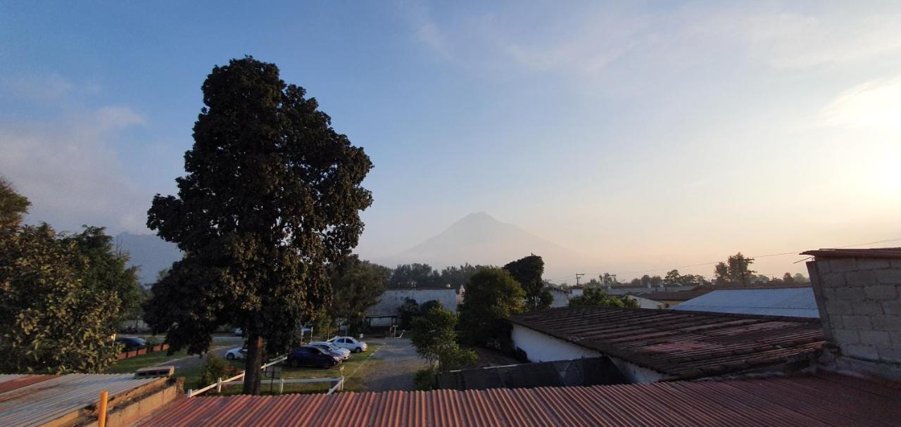 Parrot House Bed & Breakfast Antigua ภายนอก รูปภาพ